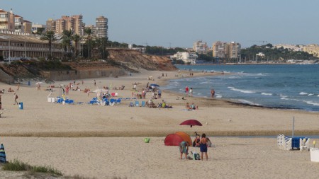 Mil Palmeras
